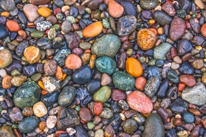 Jelly Bean Beach